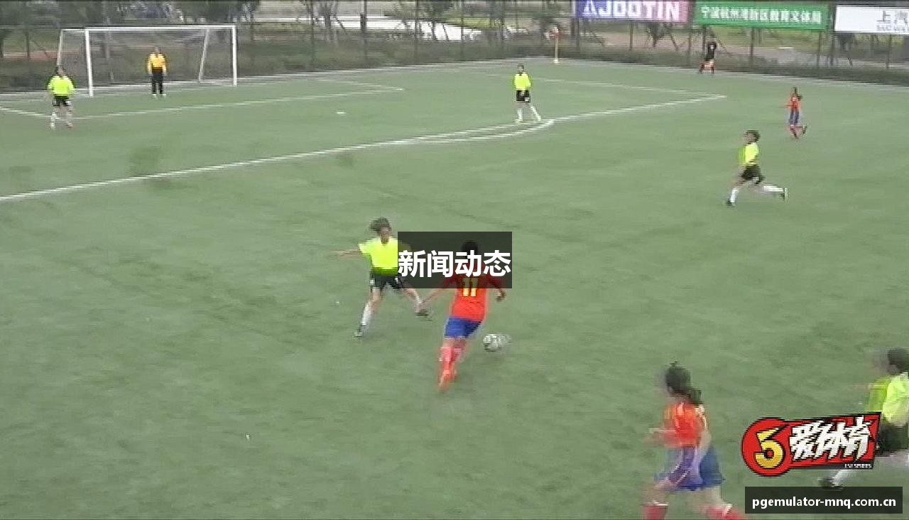 新闻动态